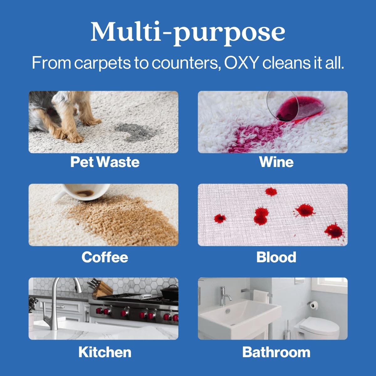 Oxygen Carpet Cleaner For Pet Stains Urine Odor Remover 32oz Spot Treatment