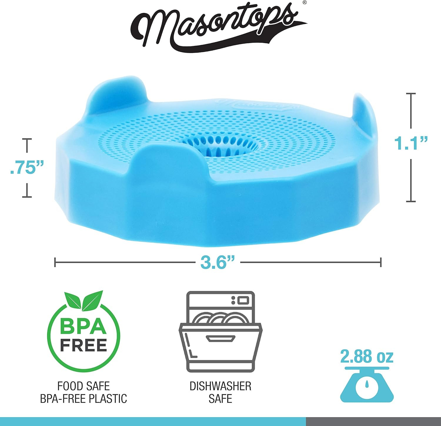 Masontops Bean Screen Plastic Mason Jar Sprouting Lids Mason Jar Sprouting Kit –