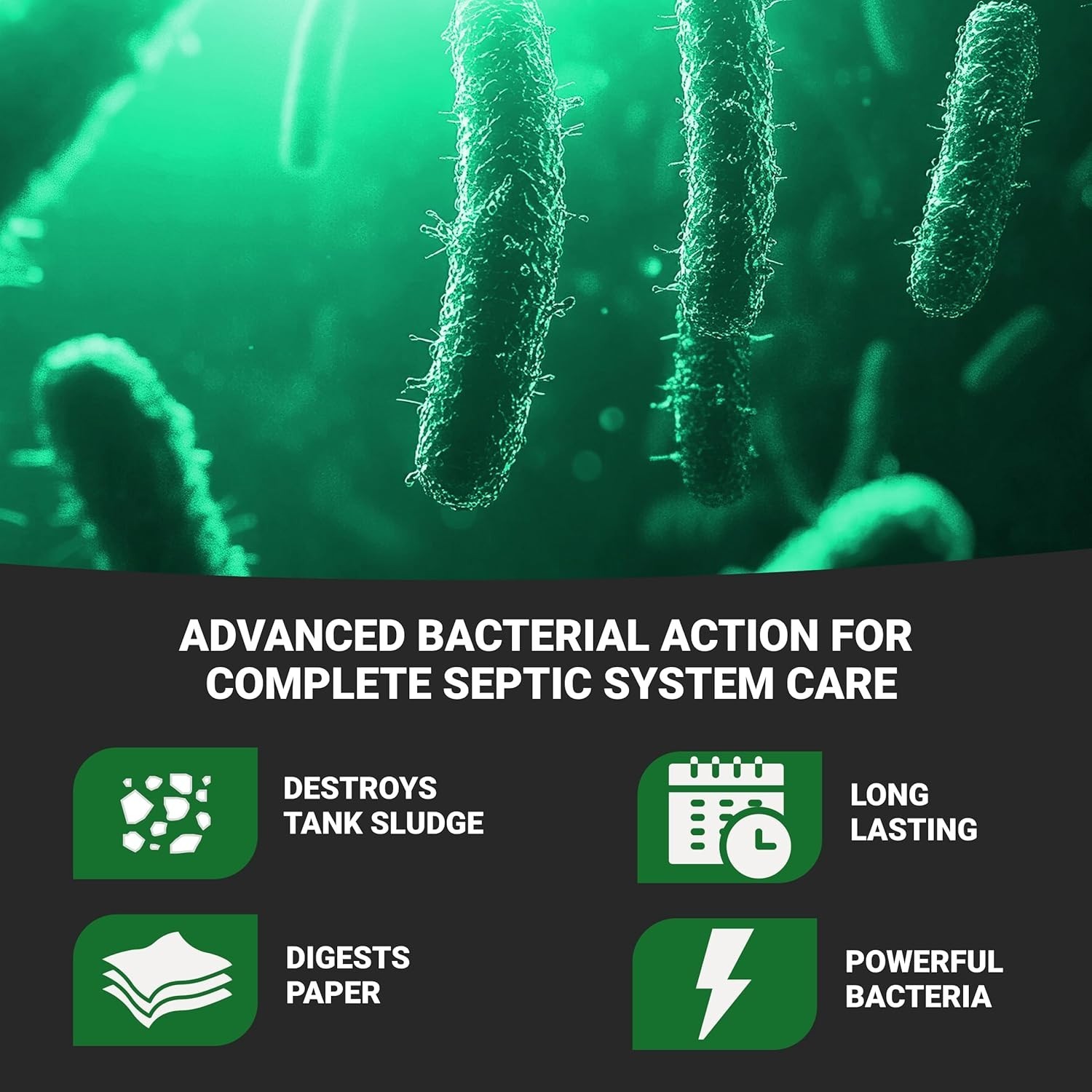 32oz Cesspool Treatment by Roebic – Prevents Buildup & Destroys Sludge Naturally