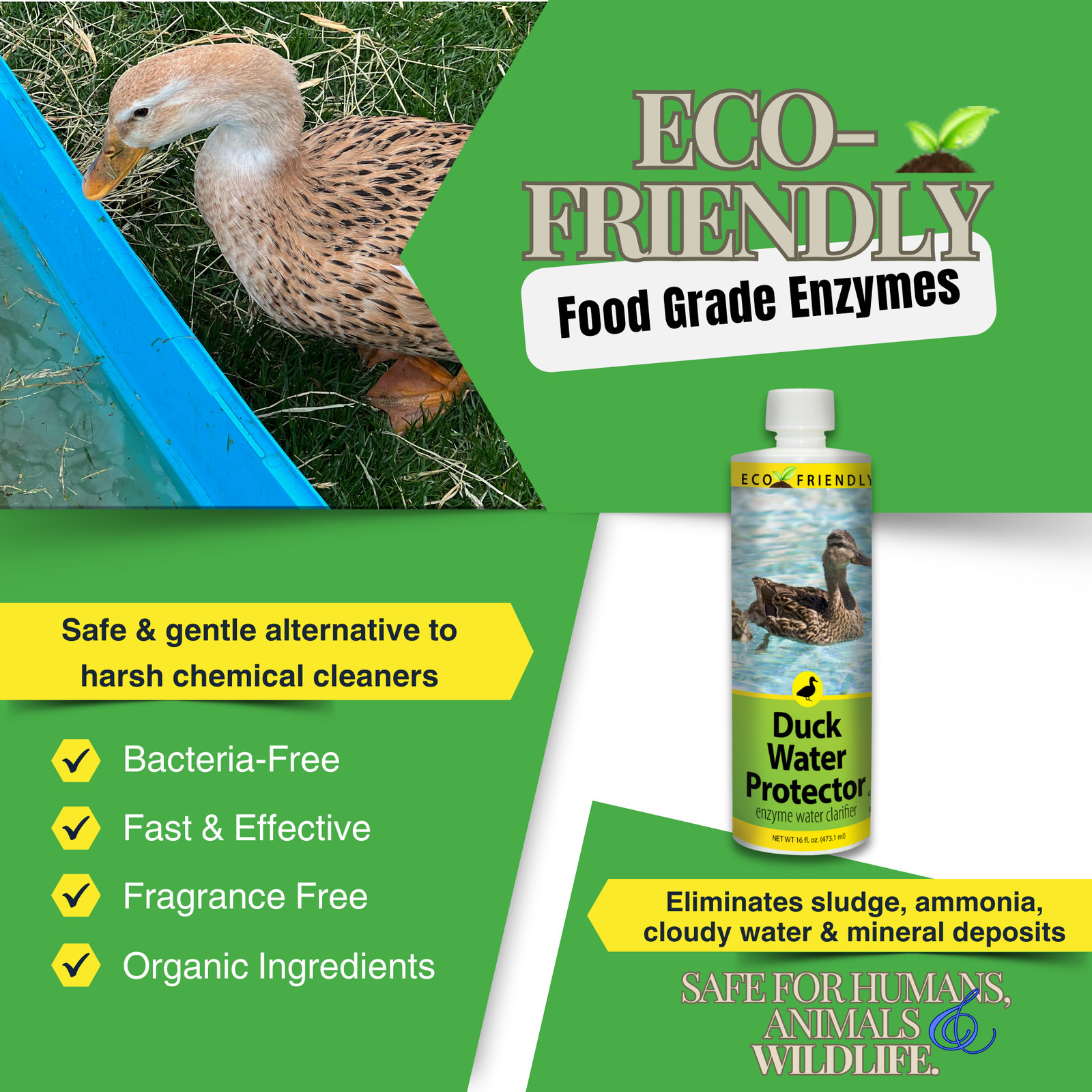 Natural Duck Pond Water Treatment | Clears Water & Reduces Sludge | Duck Pond Wa