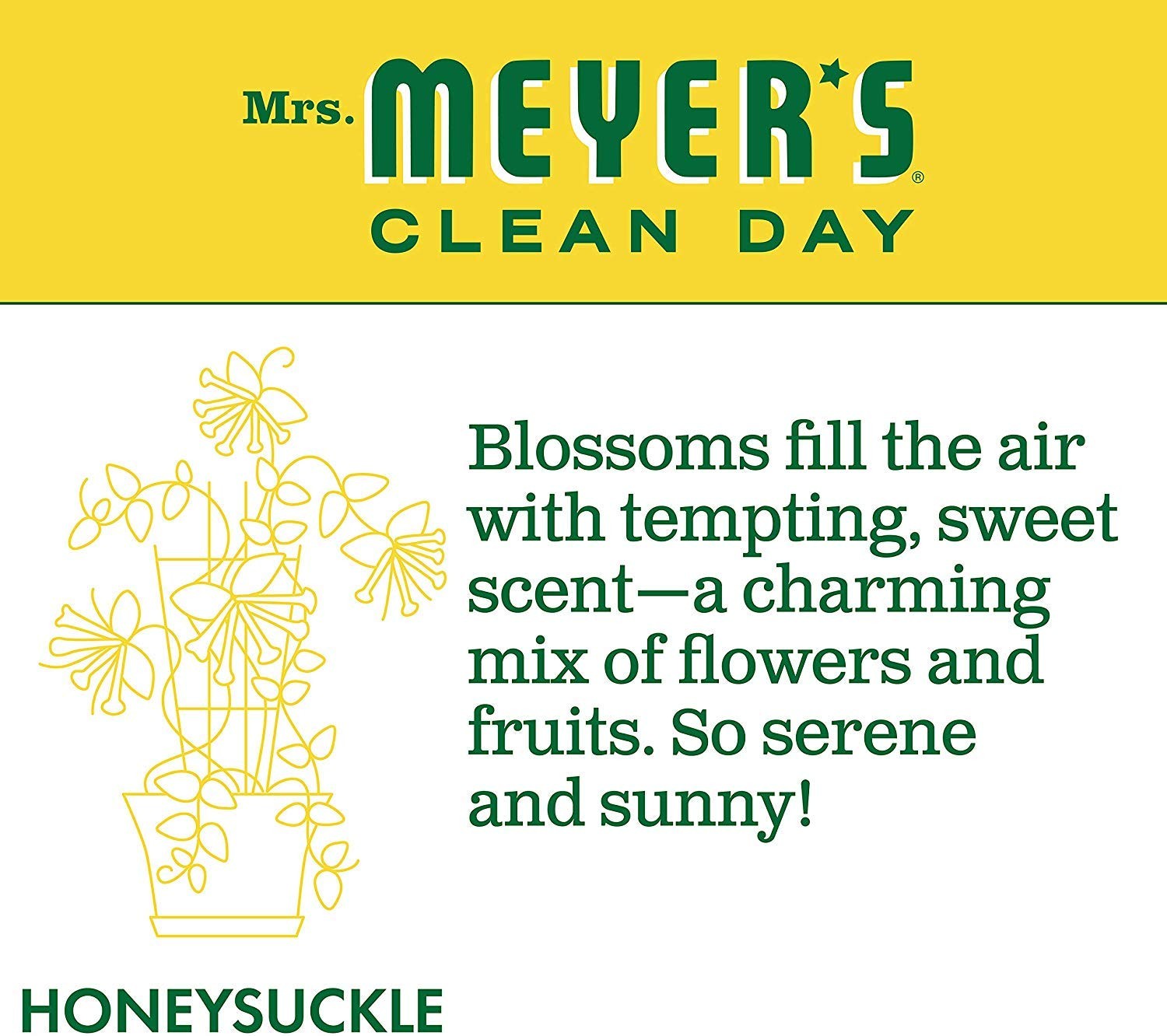 CLEAN DAY Liquid Dish Soap Refill, Honeysuckle, 48 fl. oz