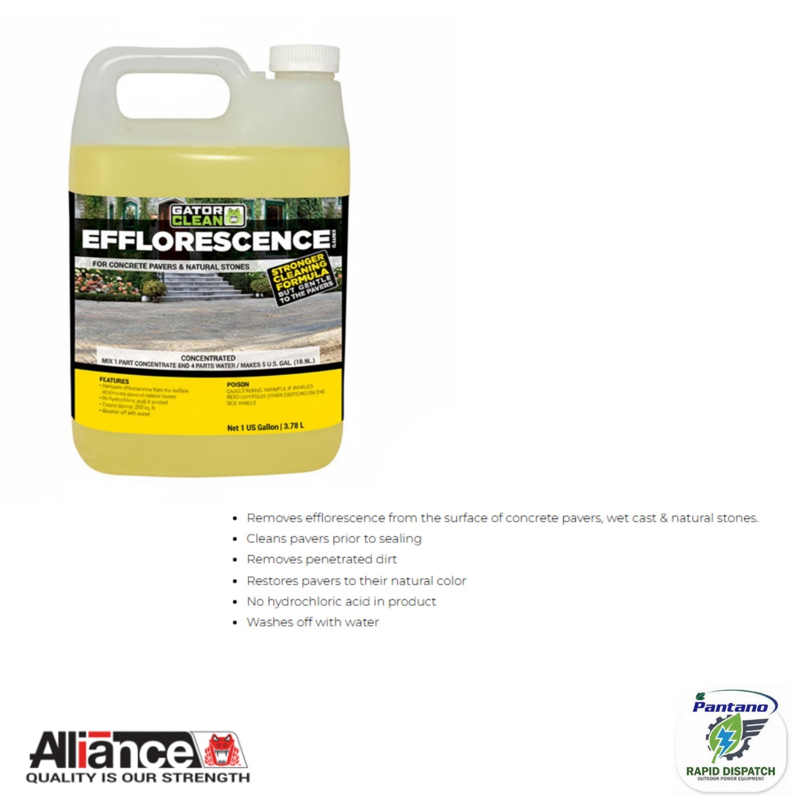 Alliance Gator Clean Efflorescence Cleaner 1 Gal for Pavers & Natural Stone