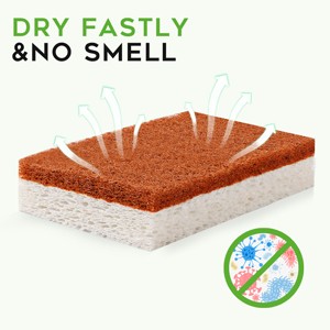 Natural Plant Based Scrub Sponge 12 Pack, Palm Fiber Scrubbing Sponge with Non