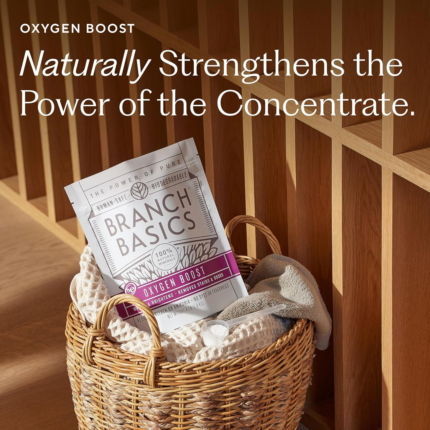 Branch Basics Concentrate (33.8 oz) + Oxygen Boost (4 lbs) | Multi-Surface All P