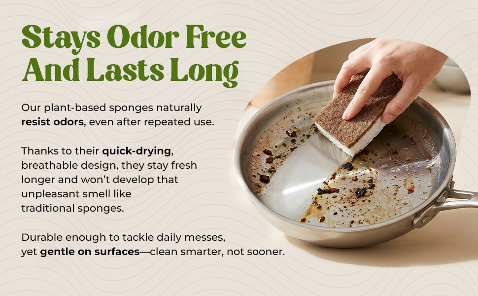 12 Pack Natural Kitchen Sponges – Biodegradable, Compostable, Sustainable Wood