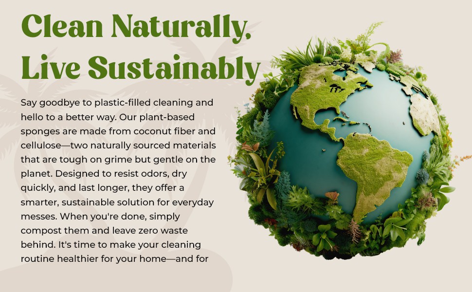 12 Pack Natural Kitchen Sponges – Biodegradable, Compostable, Sustainable Wood