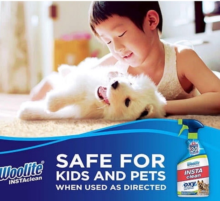 Woolite INSTA CLEAN Carpet Upholstery Rug PET STAIN Odor OXY Destroyer