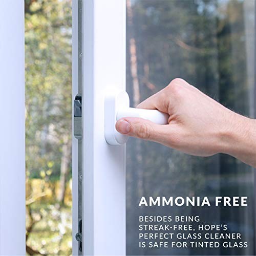 Streak-Free Glass Cleaner Spray Refill, Ammonia-Free for Windows, Mirrors & Scre