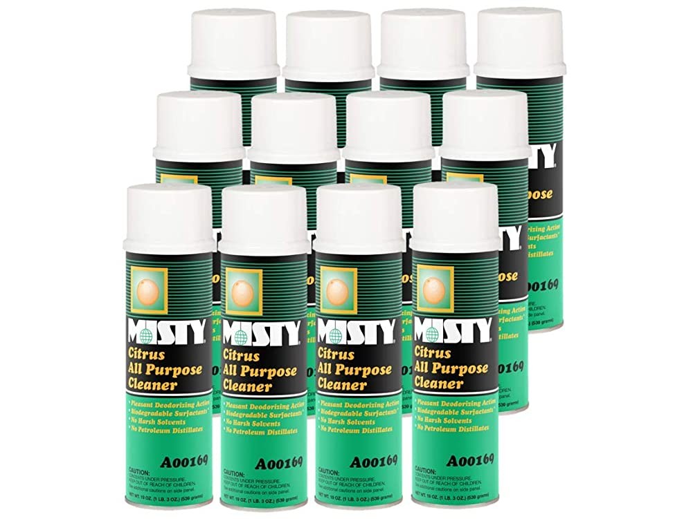 MISTY Citrus All-Purpose Cleaner – 19 oz (Case of 12) 1001583 – Biodegradable
