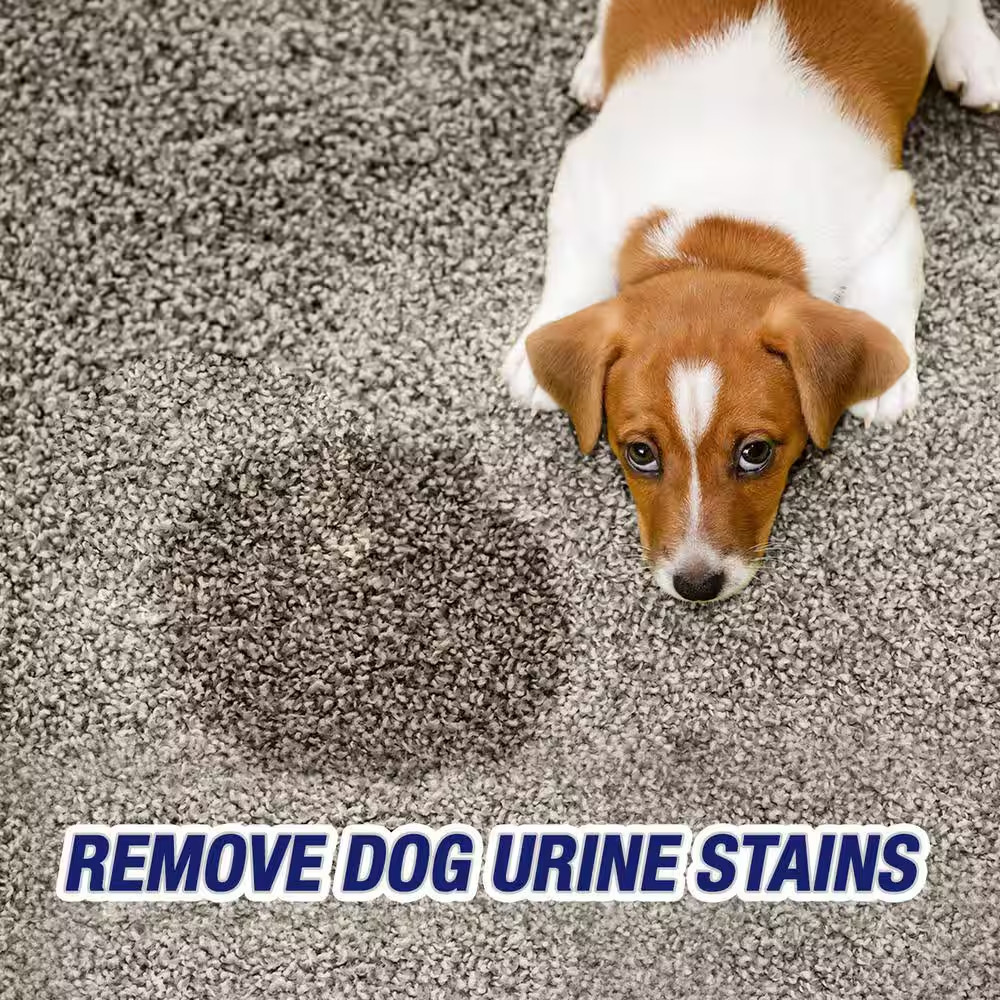 96 Oz. Urine Destroyer Carpet Steam Cleaner