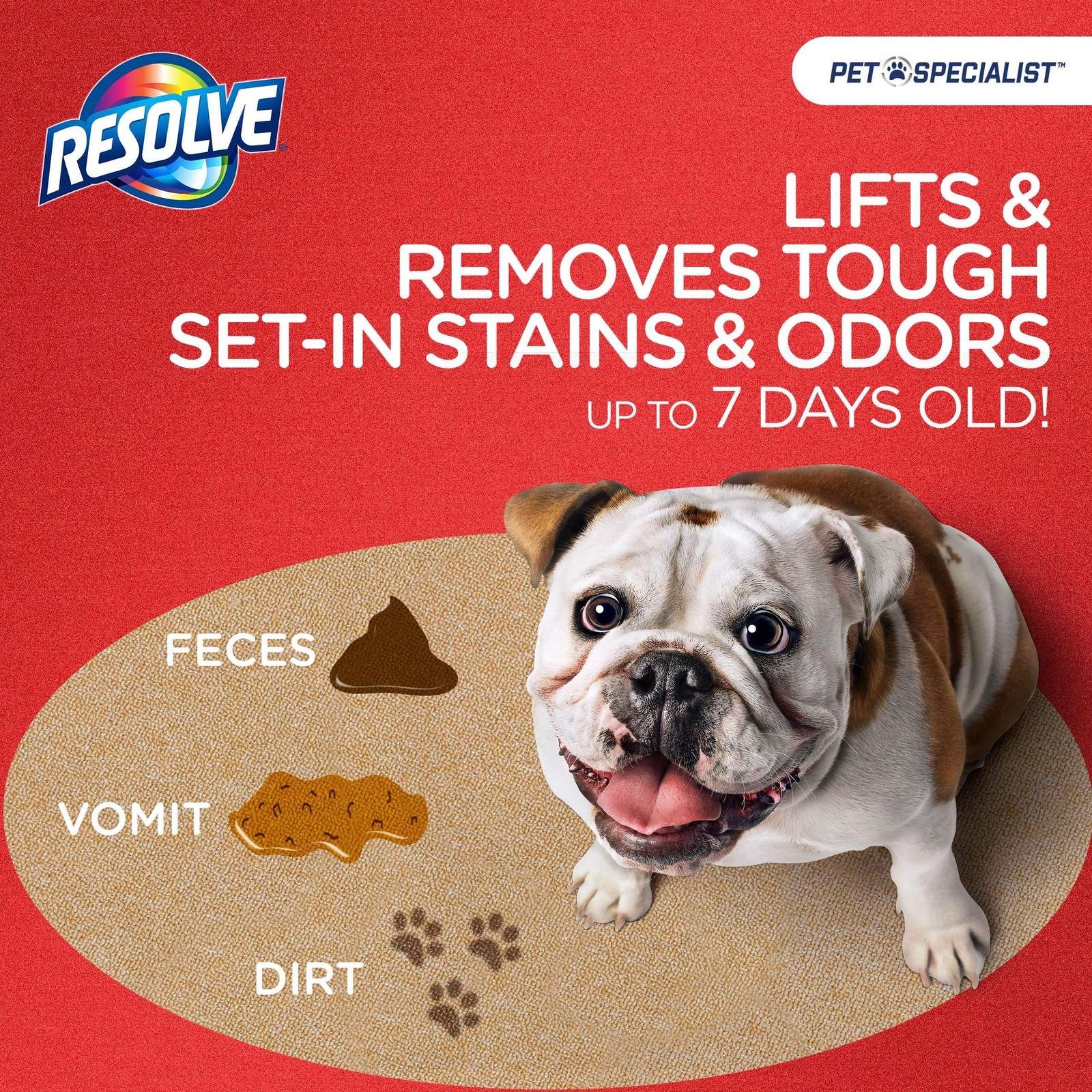 Pet Specialist Heavy Traffic Foam, Carpet Cleaner, Pet Stain and Odor Remover…