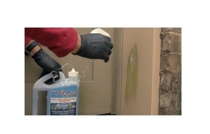 Wet & Forget Liquid Outdoor Surface Cleaner