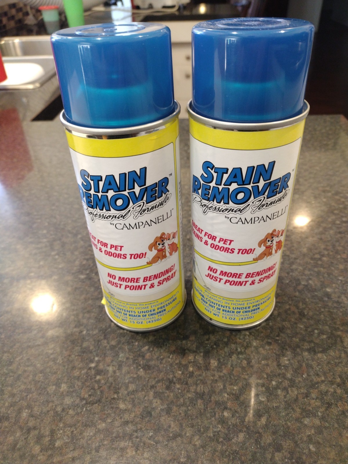 Campanelli Professional Formula Stain Remover 2PACK Point & Spray 15oz Pet Odors