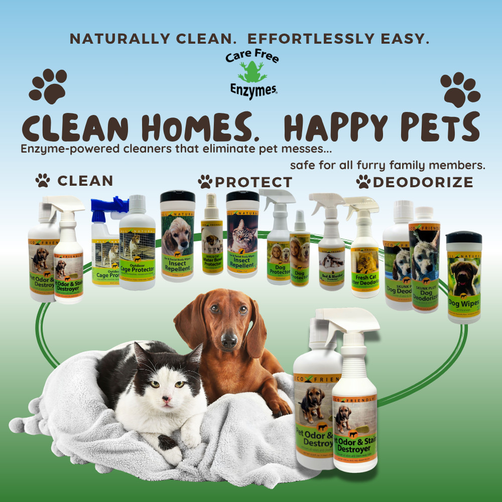 Enzyme Cleaner for Pet Stains & Odors | Urine & Stain Destroyer Spray | 16 oz &