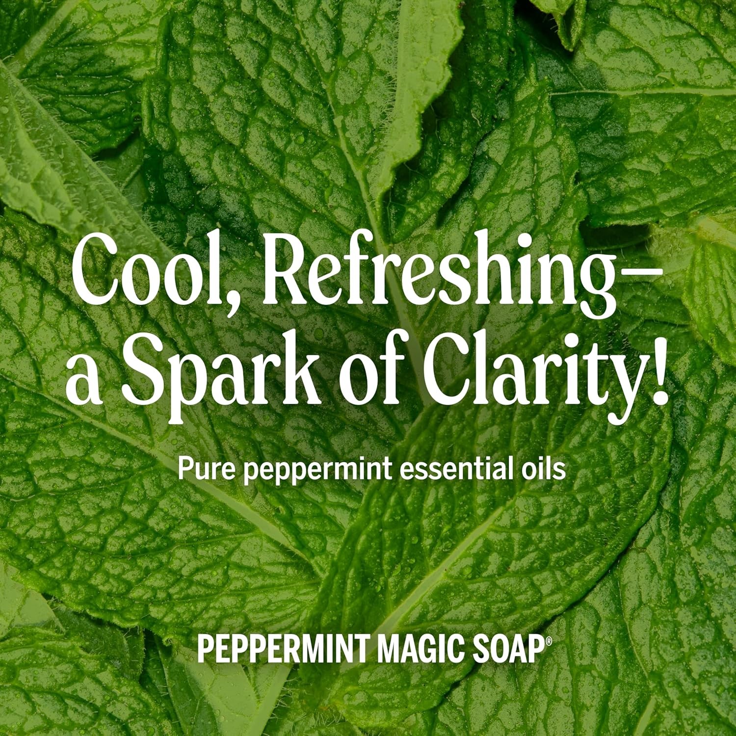 Dr. Bronner’s Pure-Castile Magic Soap Liquid (Peppermint, 1 Gallon) ?C Made wit