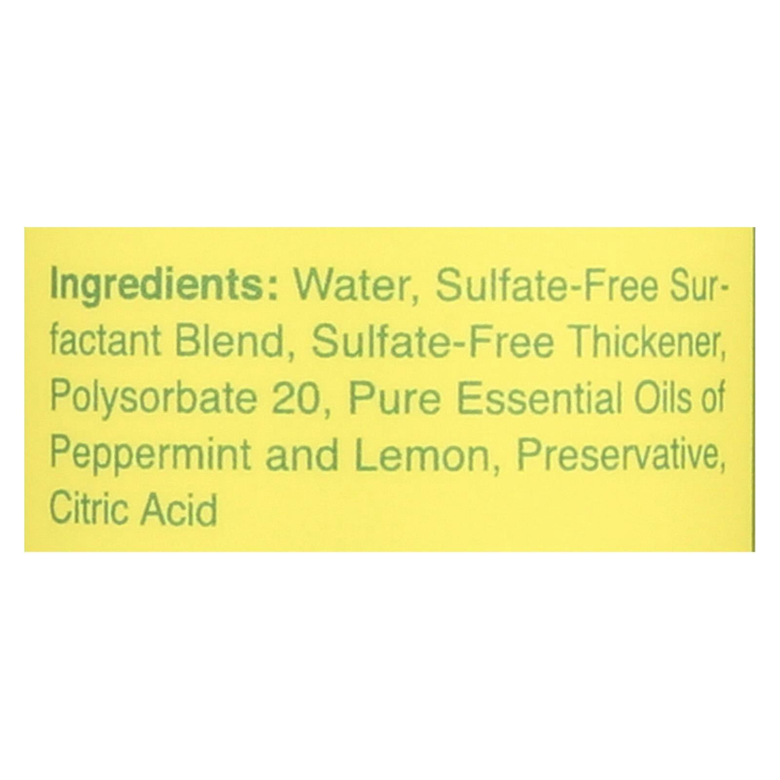 Rebel Green Dish Soap – Peppermint and Lemon – Deluxe 16 fl. oz (Pack of 4)