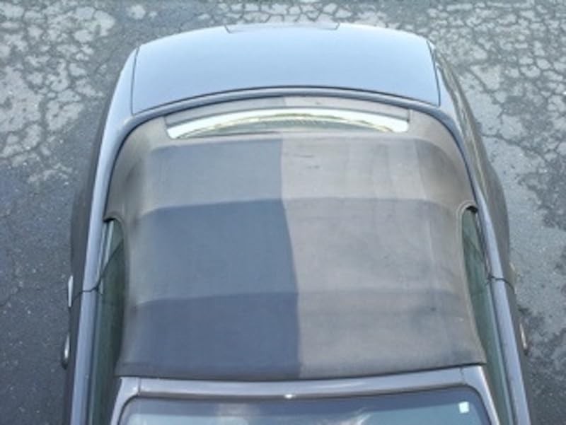Forever Car Care Products Fb813 Black Black Top Gel and Foam Applicator