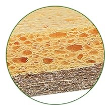 10 Pack Biodegradable Natural Sponges Kitchen – Compostable Cellulose and