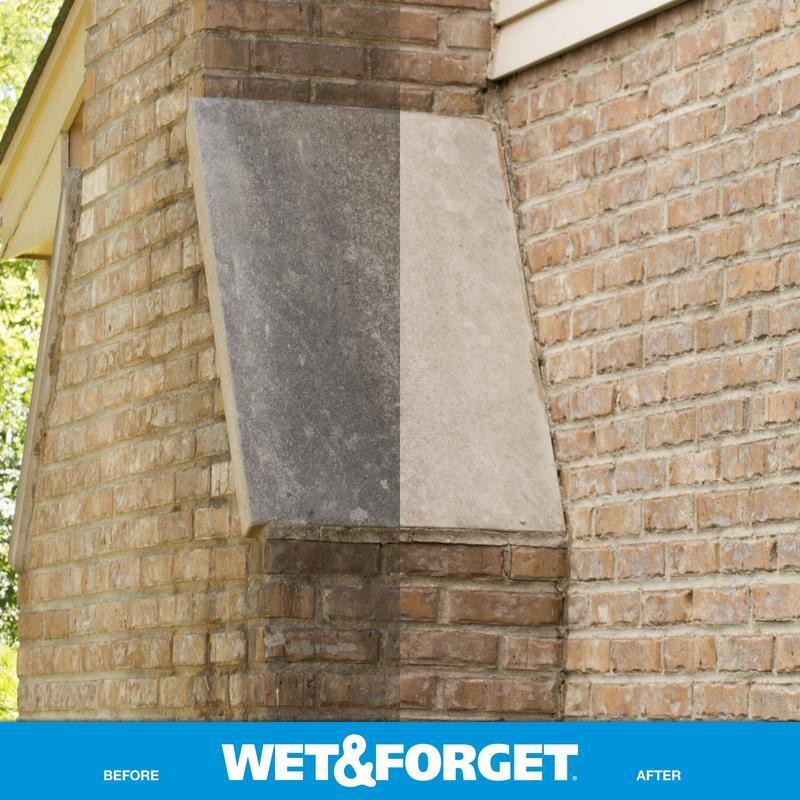 Outdoor Surface Cleaner Ready to Use Moss Mold Mildew Algae Stain Remover