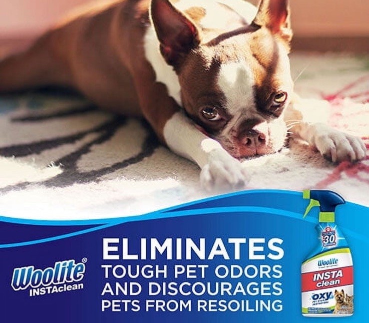 Woolite INSTA CLEAN Carpet Upholstery Rug PET STAIN Odor OXY Destroyer