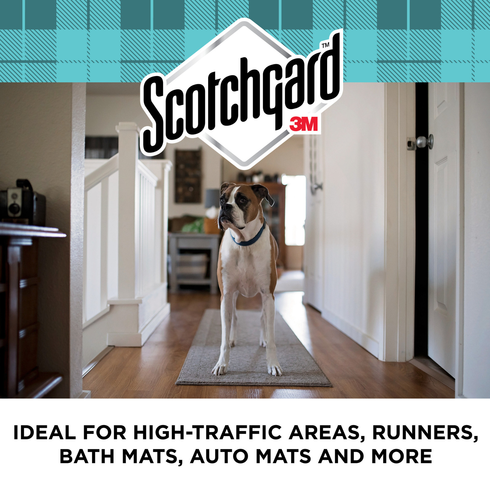 Scotchgard Rug & Carpet Cleaner: 16.5 Ounces (Clear) [6-pack]