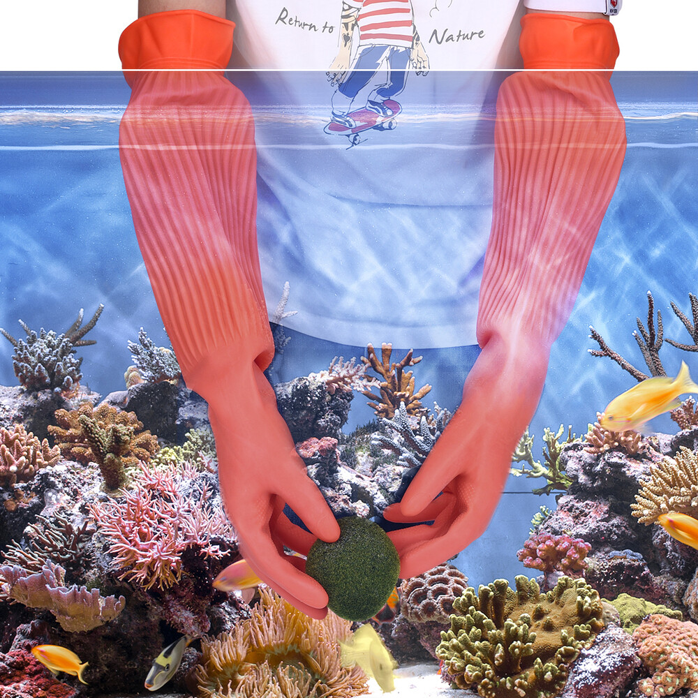washing aquarium Aquarium for Fish Tank