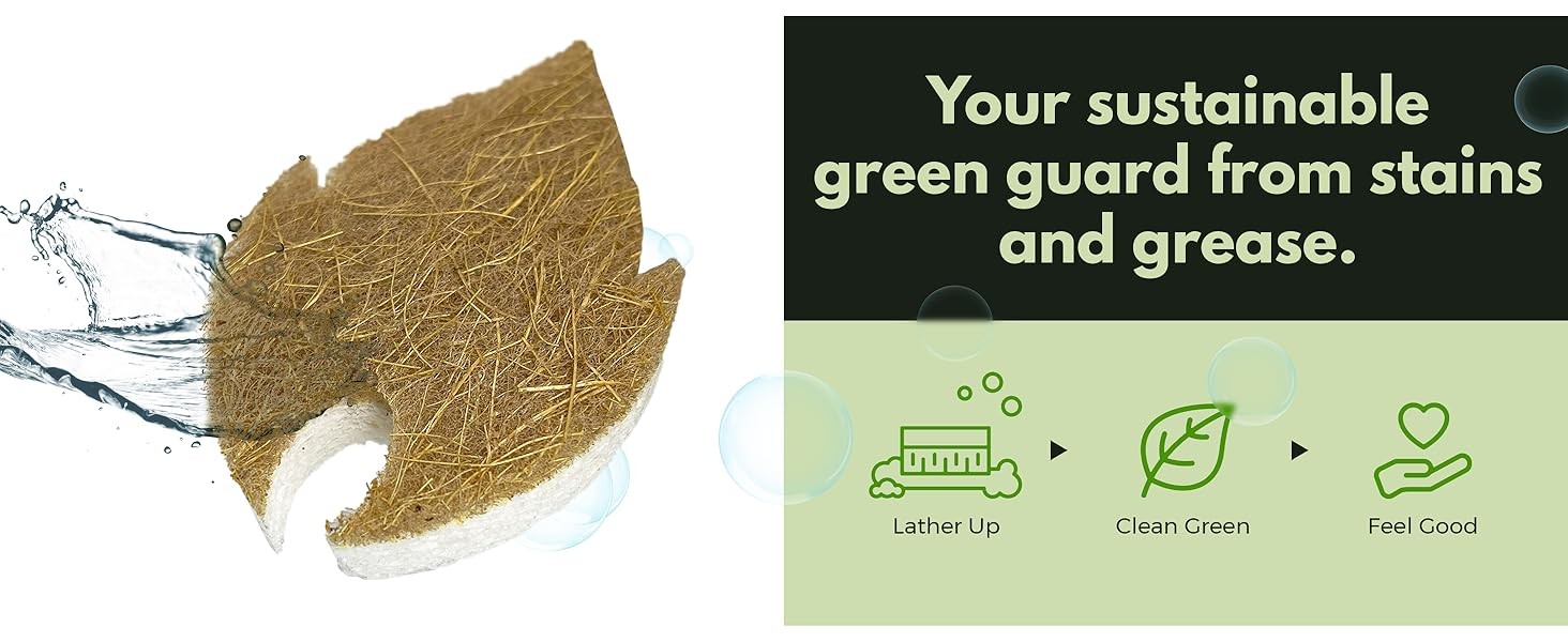 Natural Kitchen Sponges (6 Pack) – Biodegradable Cellulose & Coconut Scrubber