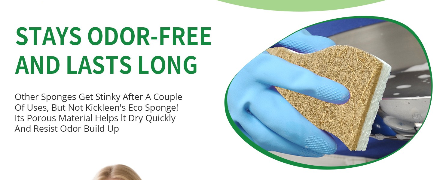 16 Pack Biodegradable Natural Kitchen Sponge – Compostable Cellulose and Coconut