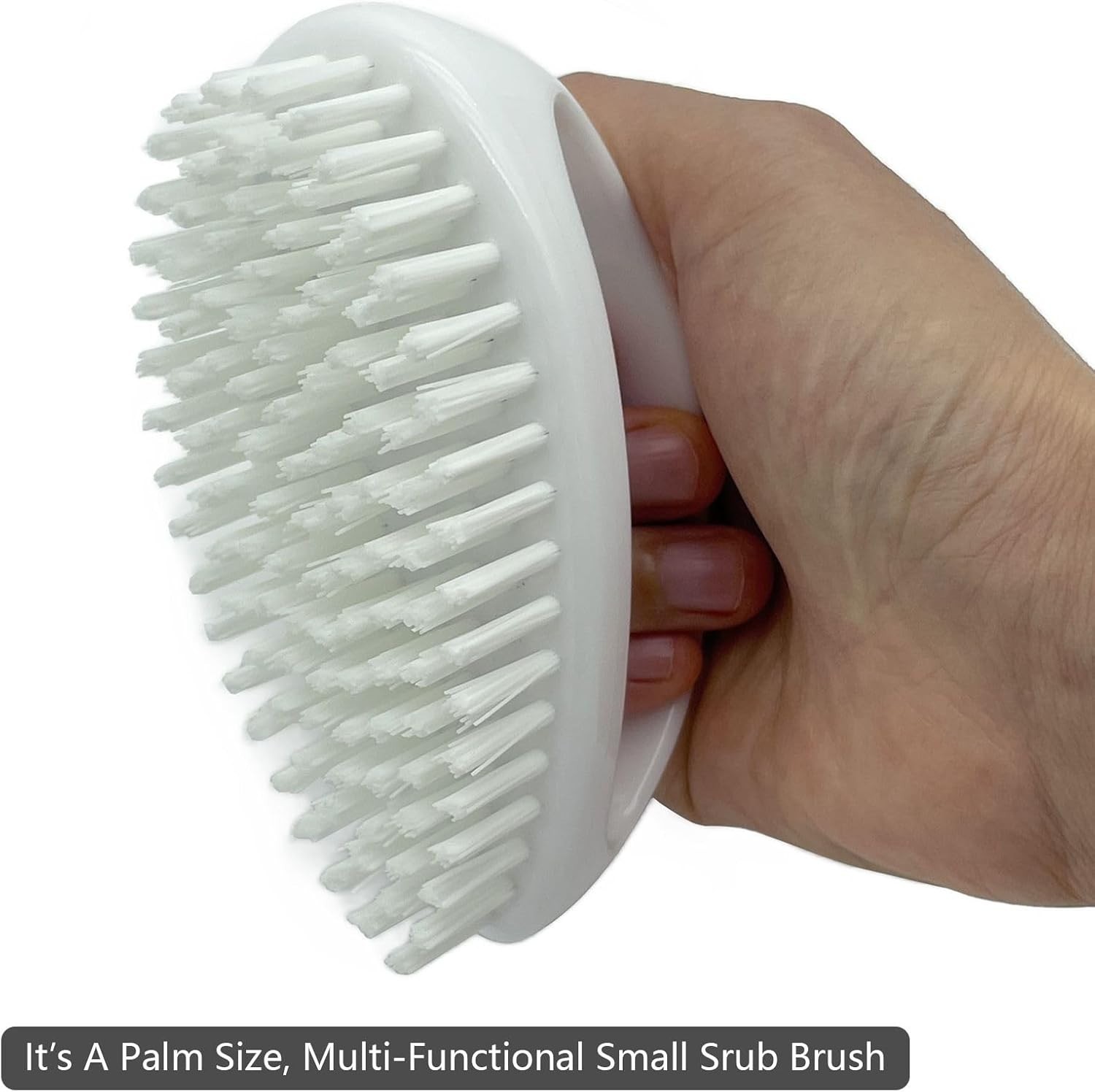 Stiff Nylon Bristles Small Scrub Brush – Ideal for Corners and Tight Spaces