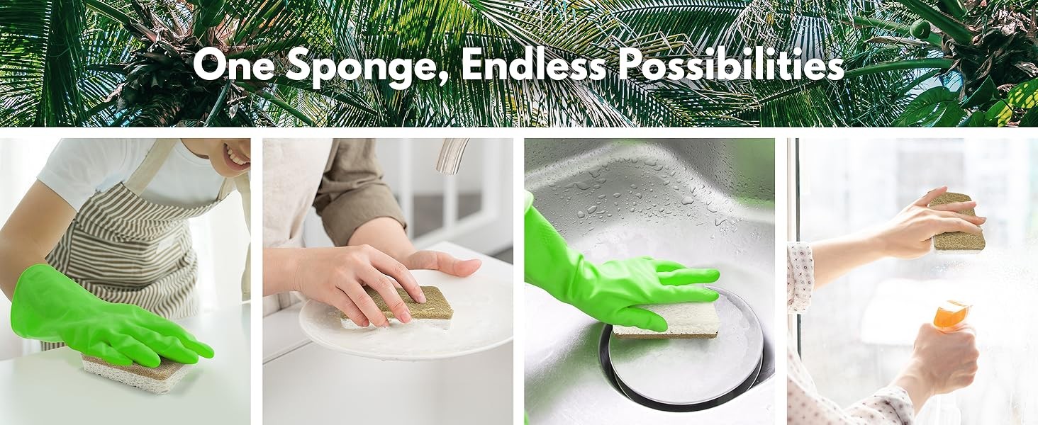 10 Pack Biodegradable Natural Kitchen Sponge – Compostable Cellulose and Coconut