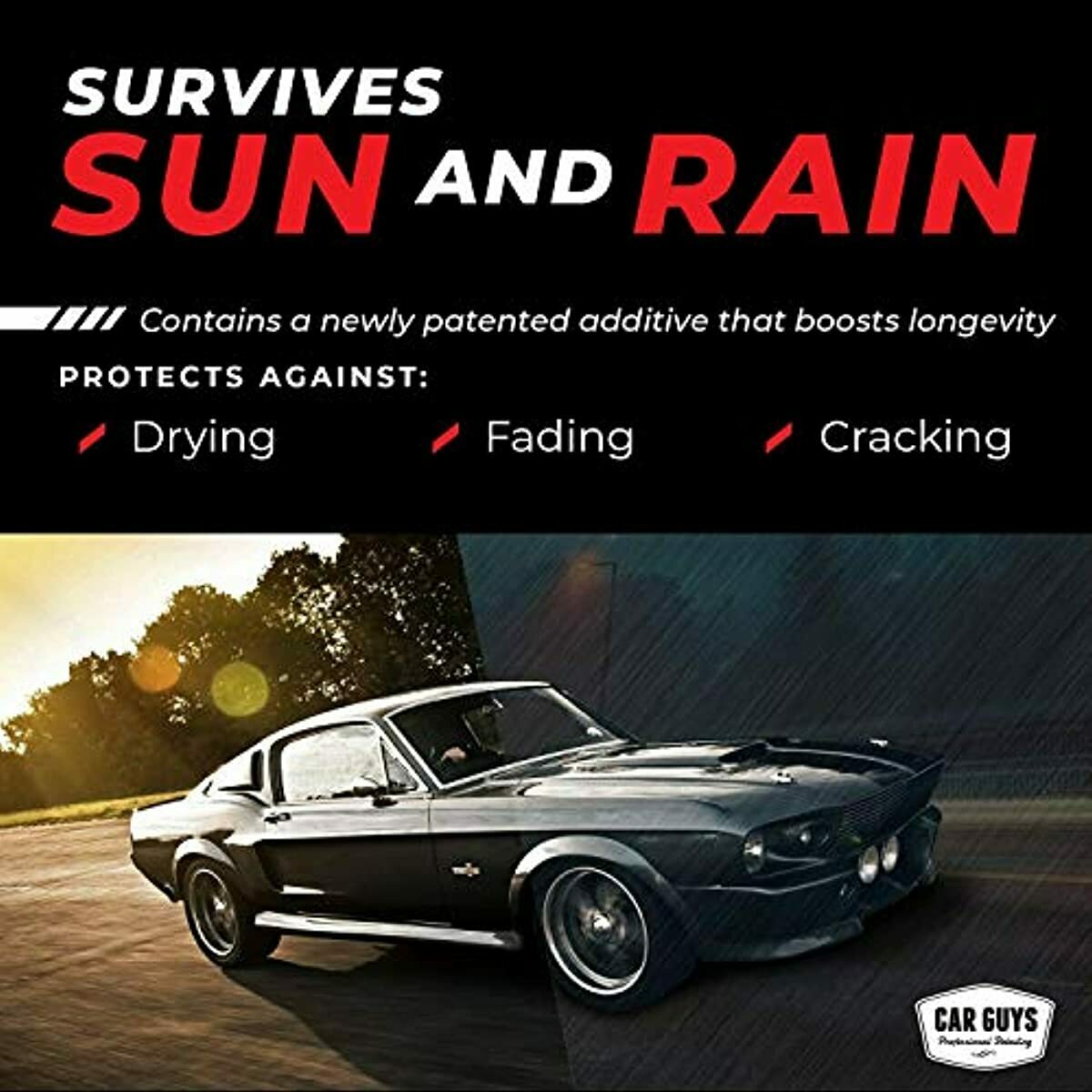 CAR GUYS Plastic Restorer Ultimate Solution to Restore Rubber, Vinyl and Plastic