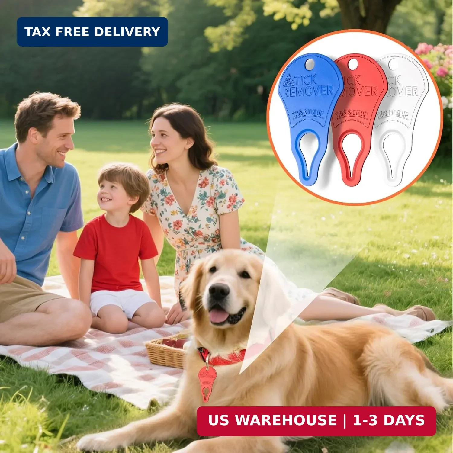 3 Pack Tick Remover Tool for Dogs Pets Humans Safe Outdoor Tick Key Essentials