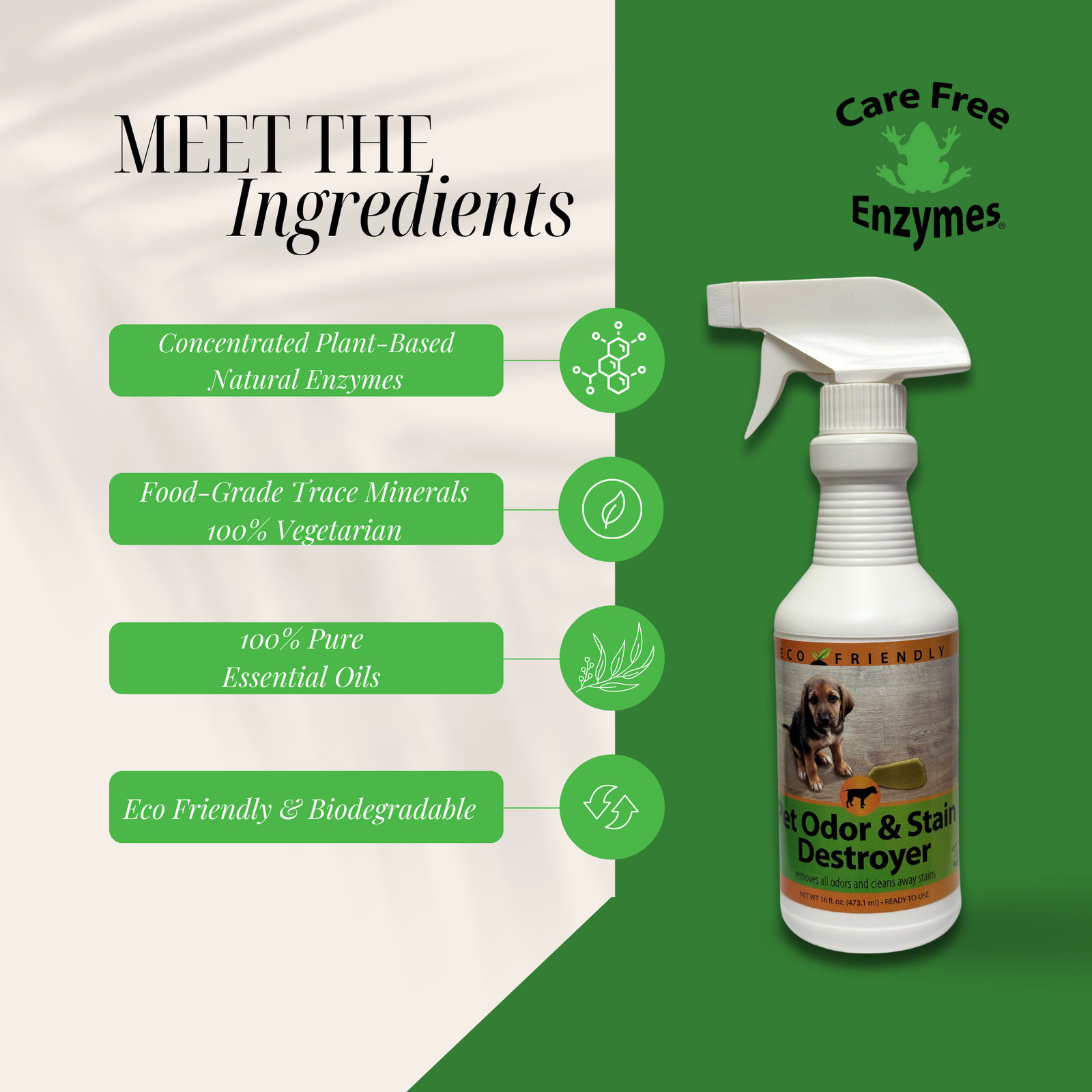 Enzyme Cleaner for Pet Stains & Odors | Urine & Stain Destroyer Spray | 16 oz &