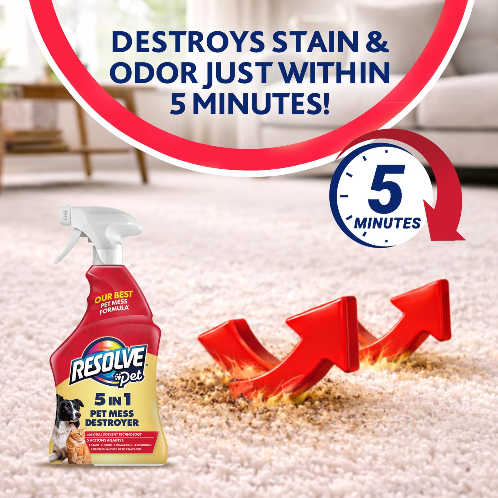 5-in-1 Carpet Cleaner Spray – for Removal of Pet Stains & Odors Up to 7 Days …