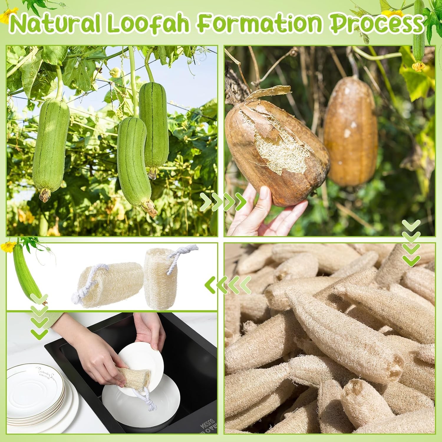 9 Pack 4”Natural Loofah Sponge Small Size Natural Organic Loofah for Kitchen