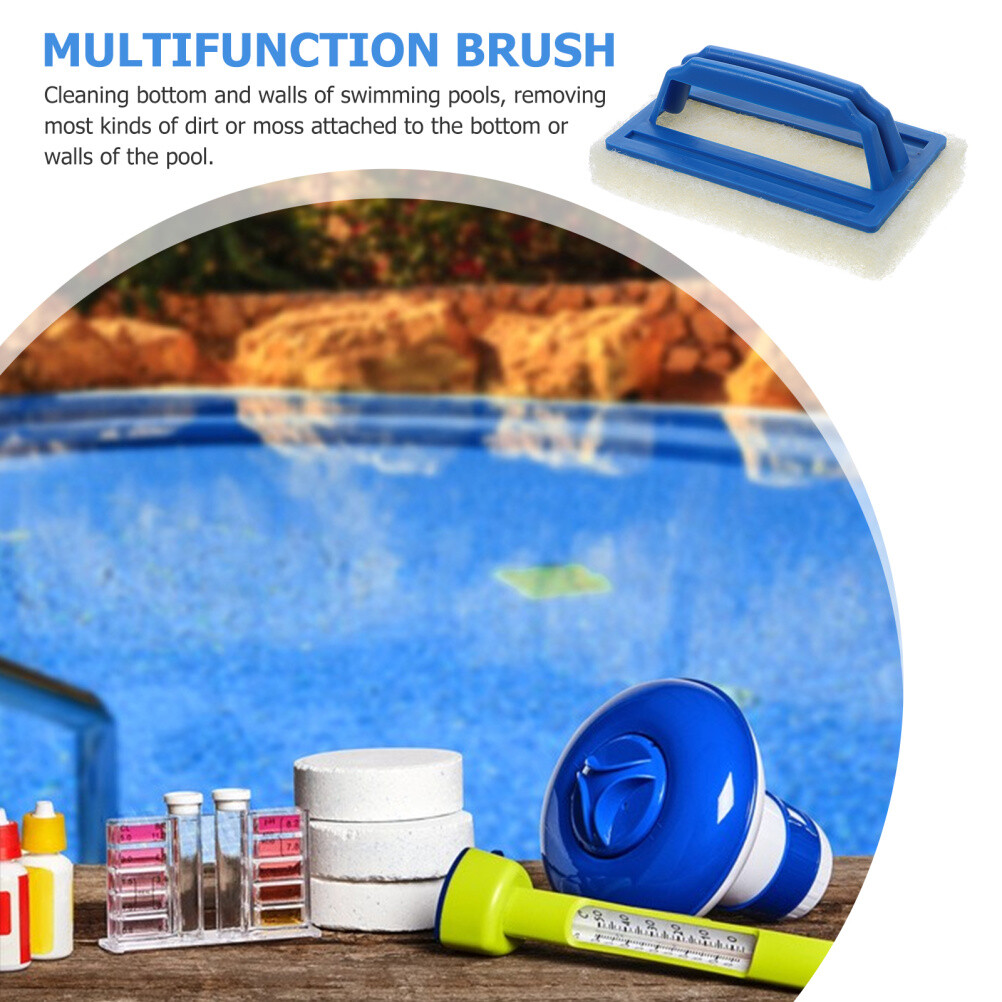 Hand Held Scrub Brush Hand Held Scrub Brush Floor Cleaning Brush Pool Brushes
