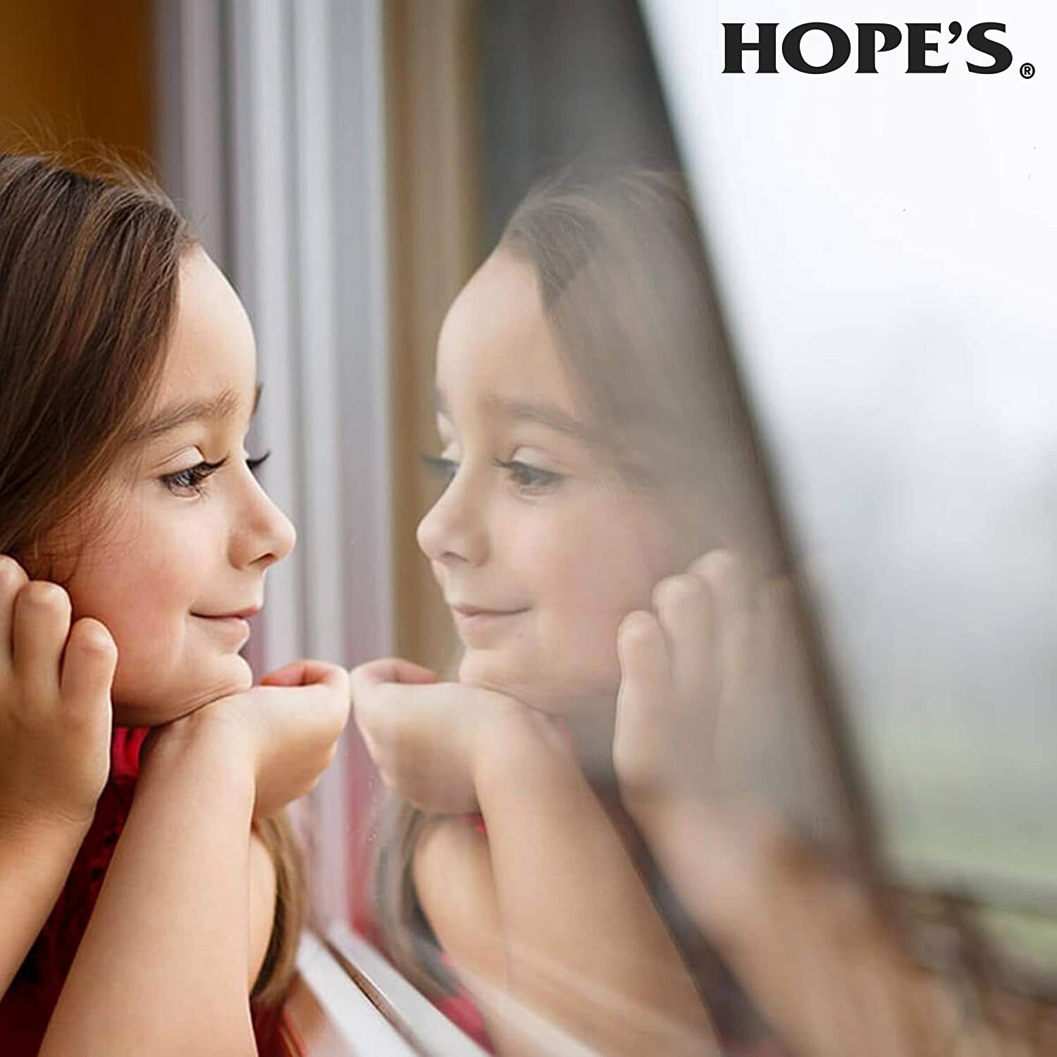 Hope’s Perfect Glass Glass Cleaner, Unscented, 32-oz Bottle (HOC32PG6)