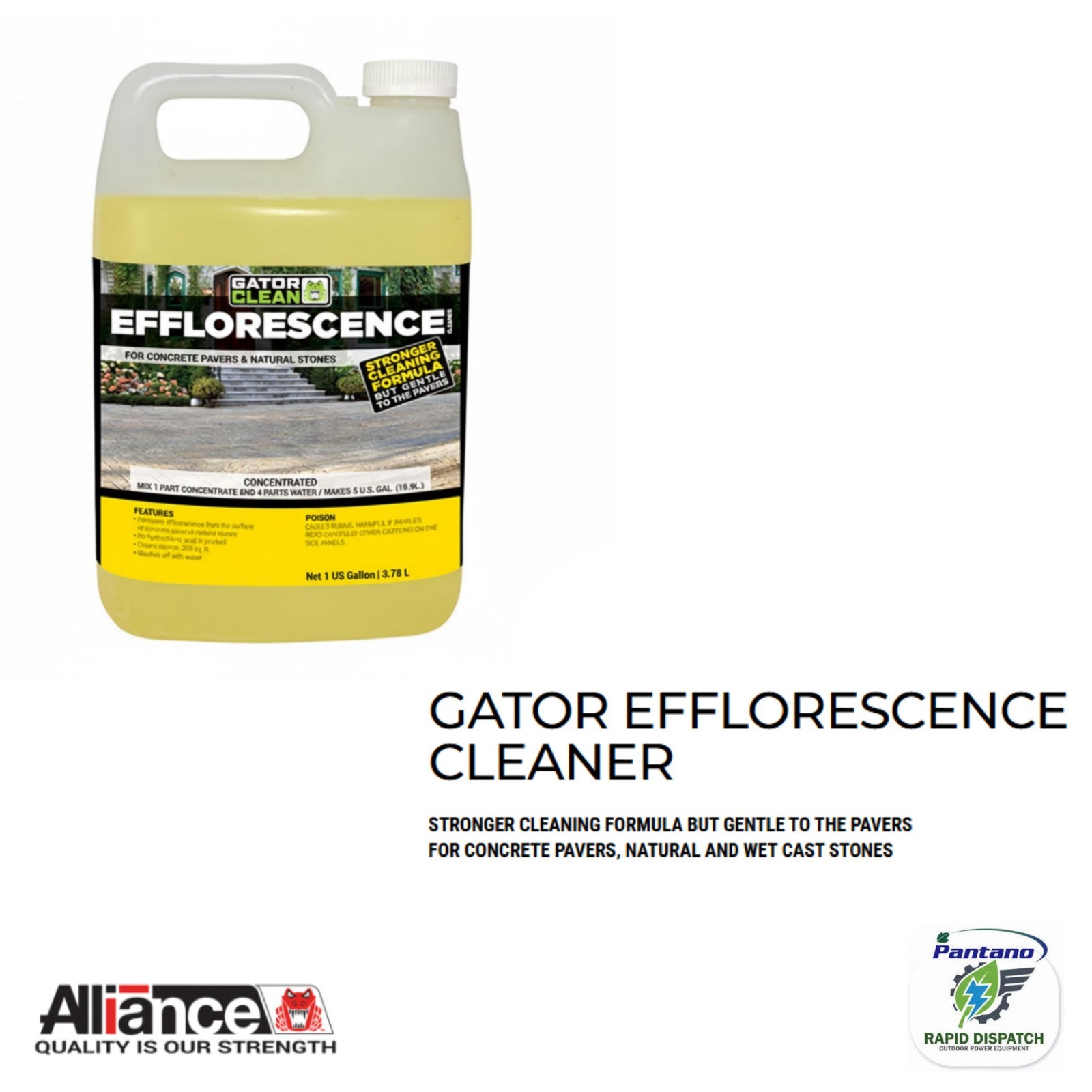 Alliance Gator Clean Efflorescence Cleaner 1 Gal for Pavers & Natural Stone