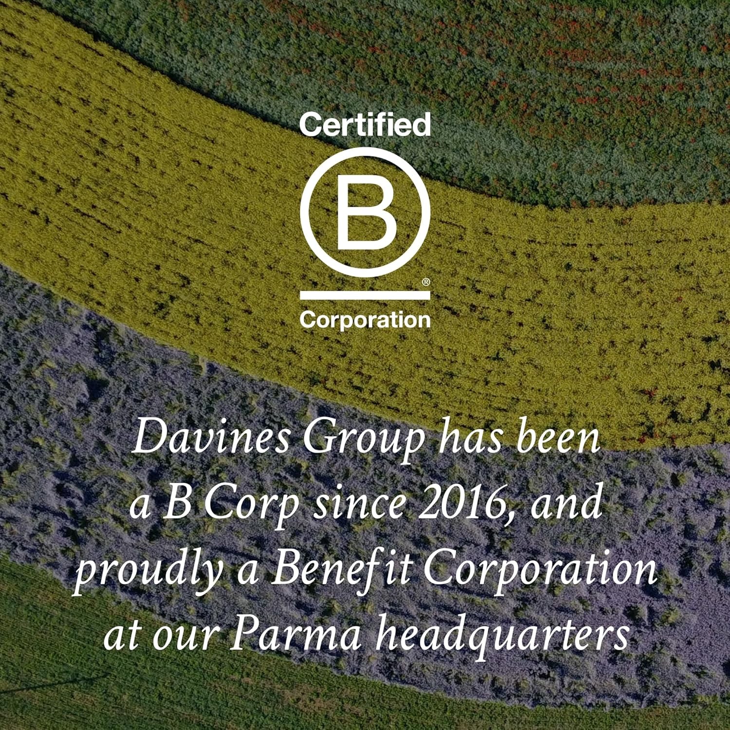 Davines OI All In One Milk, Hair Leave-in Conditioner Multi-Function Spray Tre