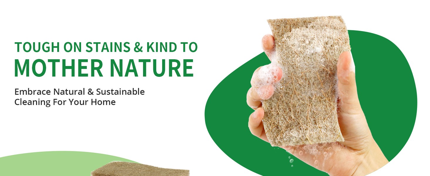 16 Pack Biodegradable Natural Kitchen Sponge – Compostable Cellulose and Coconut