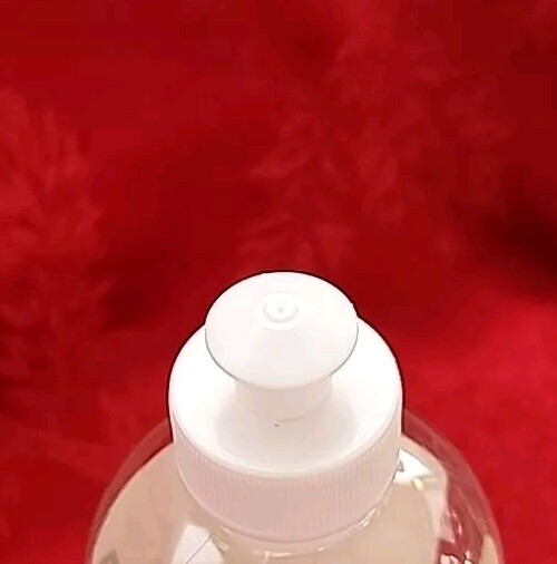 NEW Truly Free EMPTY Dish Soap Bottle Limited Edition PUMPKIN SPICE 16oz Plastic