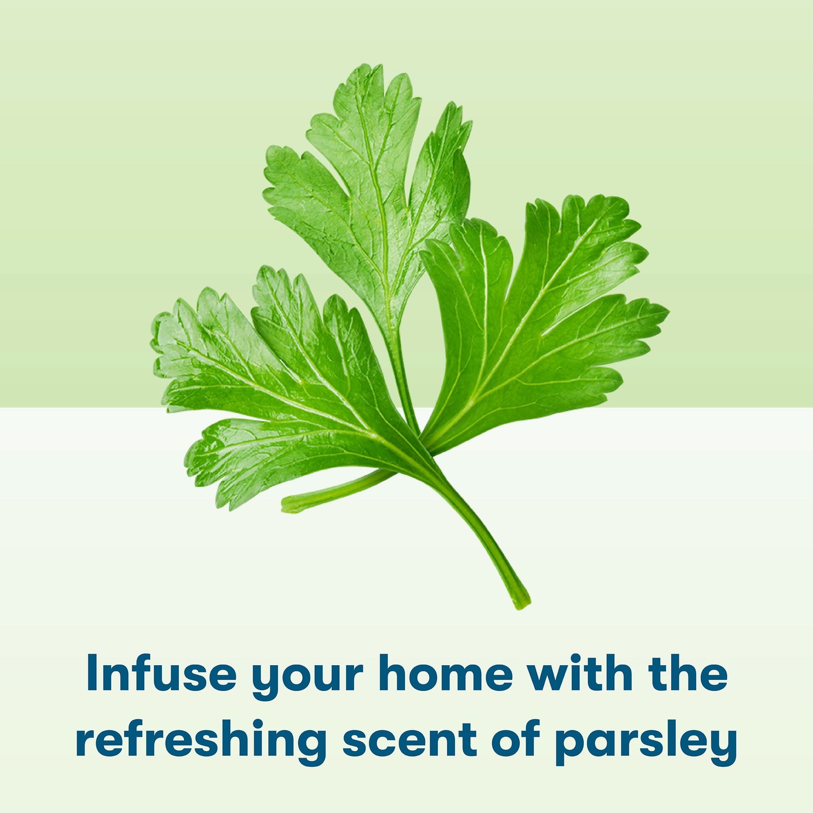 ECOS All Purpose Cleaner, Parsley, 22 Fl. oz.