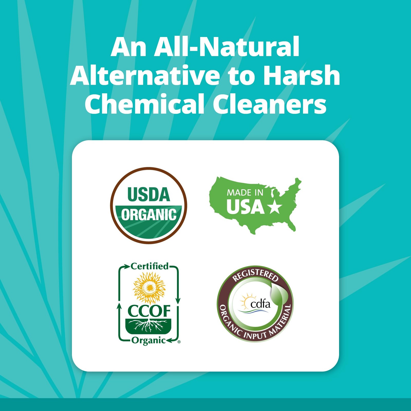 Natural All Purpose Cleaner Concentrate, Non-Toxic, Eco-Friendly, Safe for Ki…