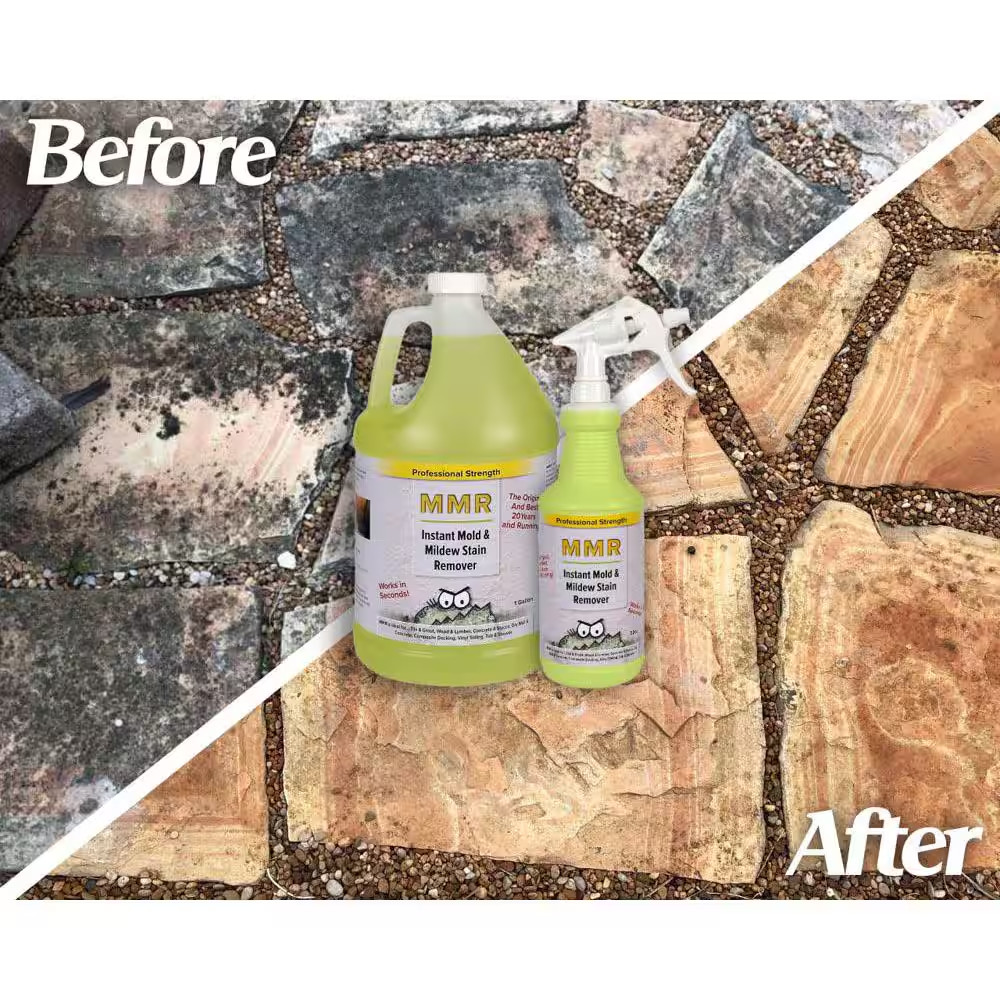 Professional 32 Oz. Instant Mold and Mildew Stain Remover