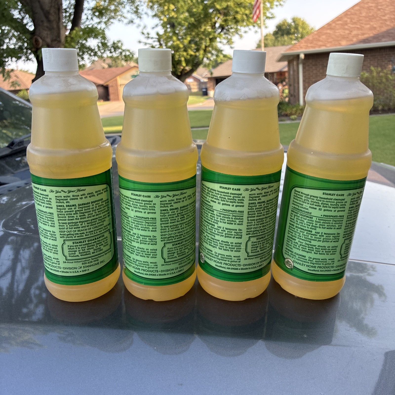The Original Degreaser Stanley Home Products A3892- (Set of 4)