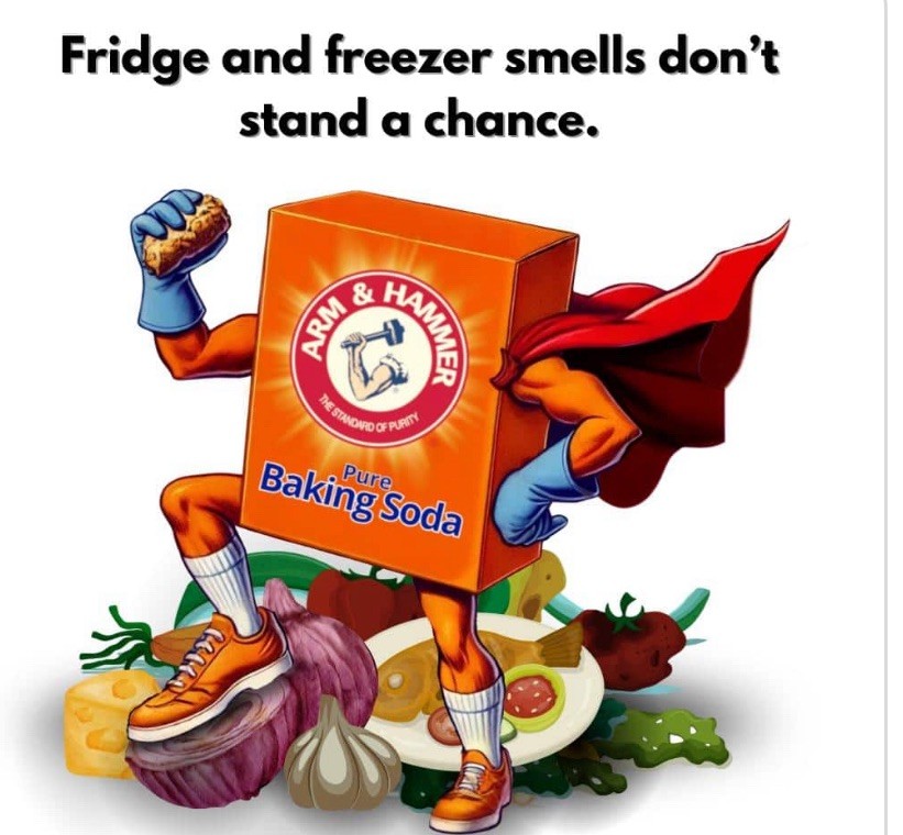 Arm & Hammer Fridge-N-Freezer Baking Soda, 14 Oz.USA-Free Shipping