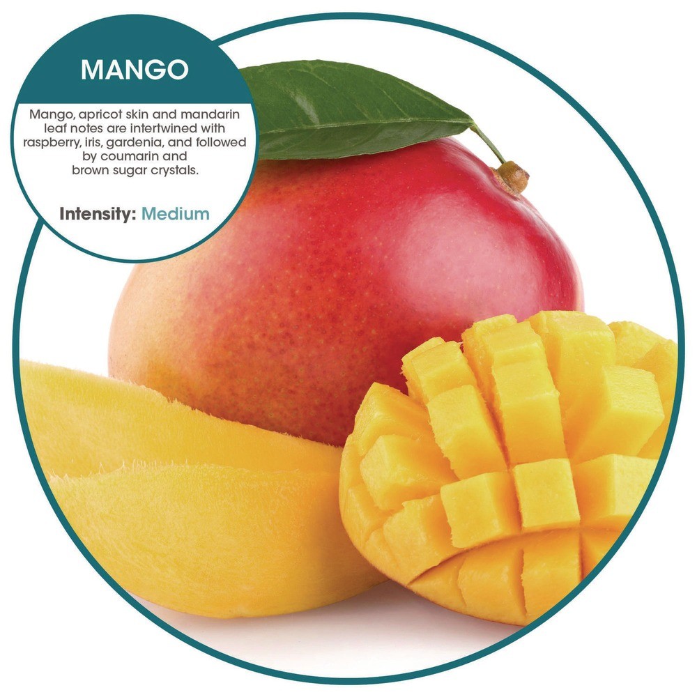 Fresh Products HTSC72MAN Hang Tag Air Freshener w/ Suc Cup Orang Mango 72/CT New