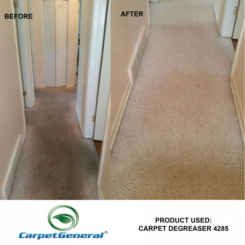 CarpetGeneral CD 4285 – Multi Purpose Carpet Degreaser, Stain Remover – 5 Gallon