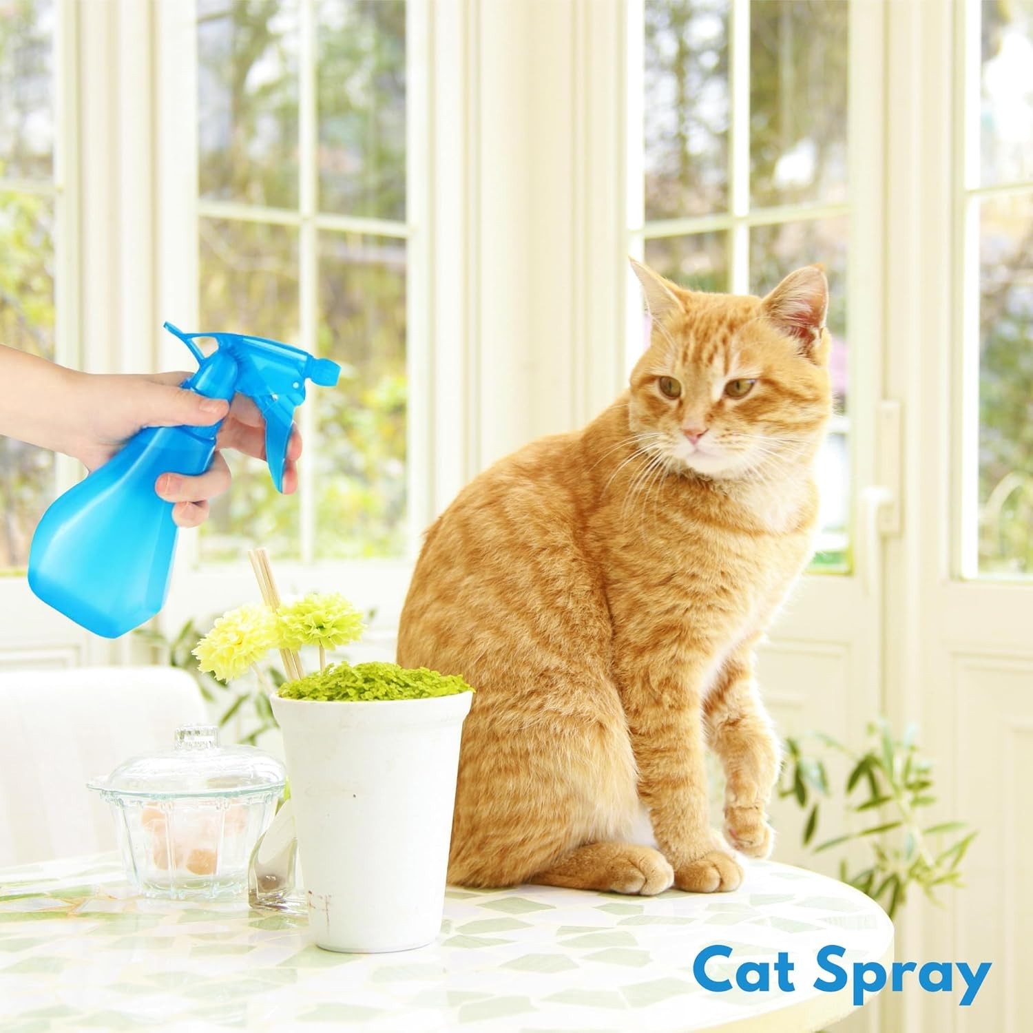 8oz 2-Pack Empty Spray Bottles for Cleaning Heavy Duty, Small Spray Bottle fo…