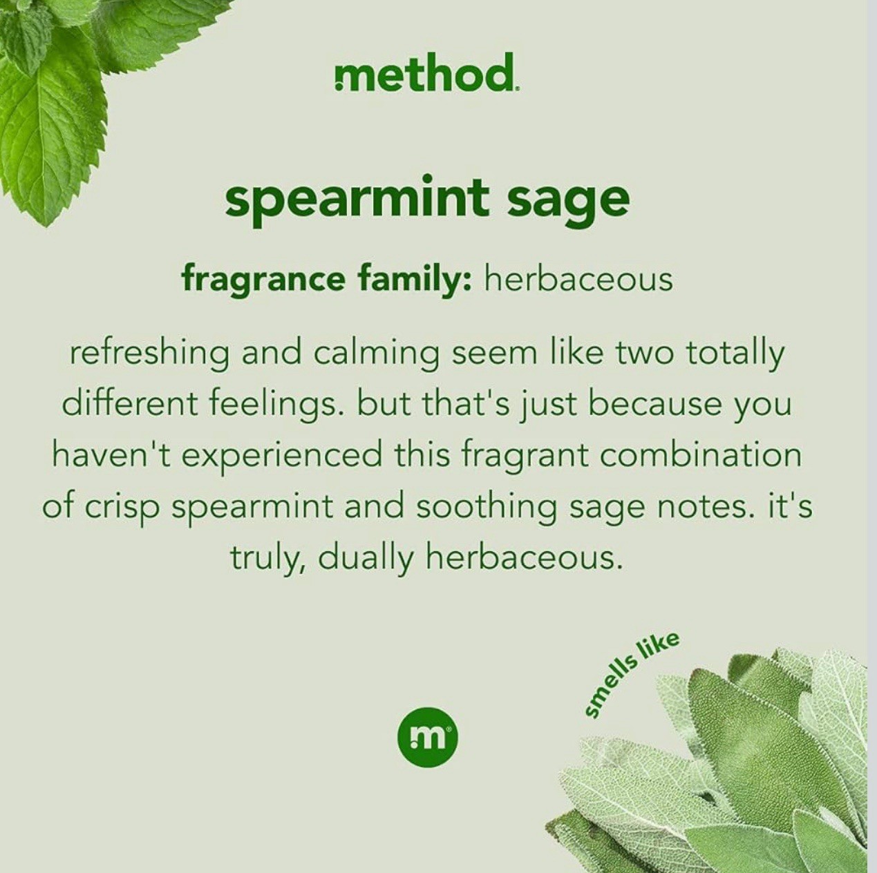 Method Squirt + Mop Hard Floor Cleaner Spearmint Sage 25oz FREE SHIPPING (B3-i13